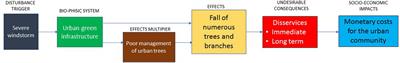 Could climate change and urban growth make Europeans regard urban trees as an additional source of danger?